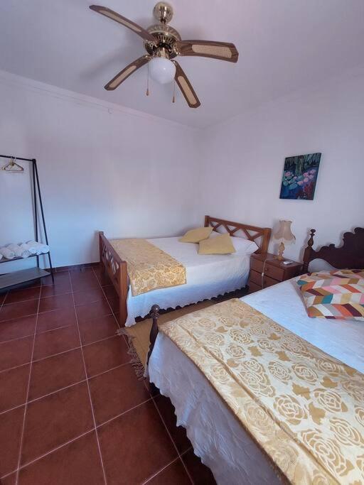 Casa Amarela - Praias Alqueva Povoa de Sao Miguel Bagian luar foto